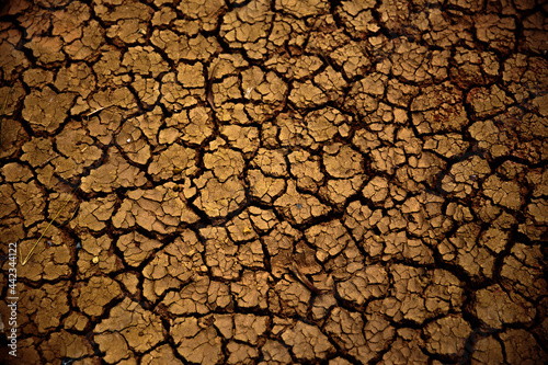 dry soil texture closeup for background