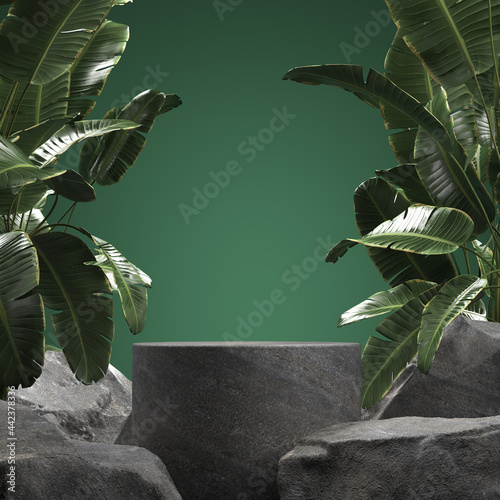 Empty stone podium with tropical leaves. 3d illustration