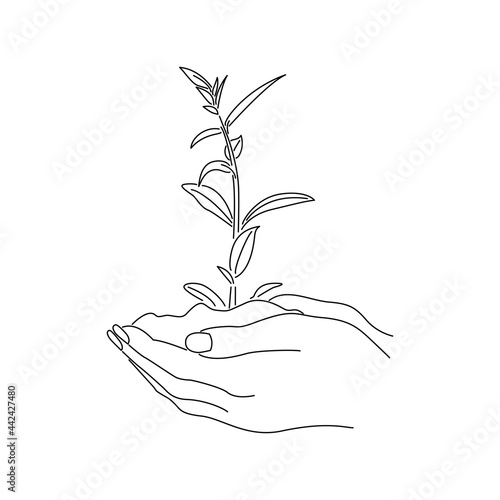 Kobiece dłonie trzymające młodą roślinę, sadzonkę. Mistyczny symbol dla kosmetyków naturalnych, eko produktów, spa, ziołolecznictwa, biżuterii, wzór na tatuaż, kartki ślubne. Ilustracja wektorowa.