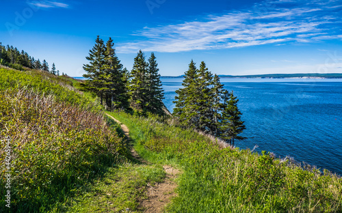 "Les Graves" hiking trail in Forillon National Park (Quebec, Canada) with view on the Atlantic ocean