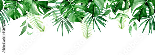 seamless watercolor border, banner, frame with tropical leaves. green leaves of monstera, palm, fern isolated on white background. seamless print clipart