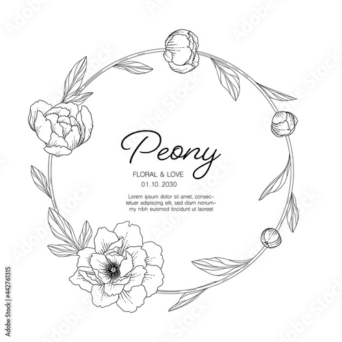 Hand drawn peony floral greeting card background..
