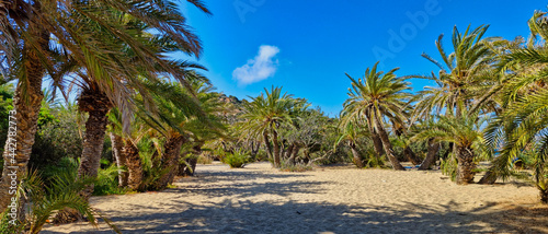 PLAŻA Z PALMAMI. PLAŻA VAI NA WYSPIE KRETA, GRECJA. 