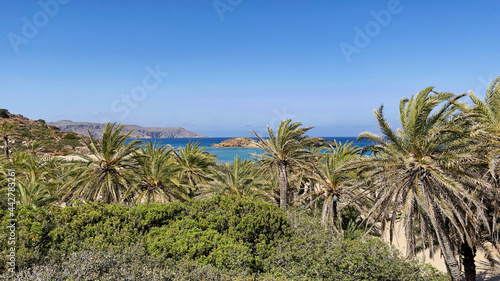 PLAŻA Z PALMAMI. PLAŻA VAI NA WYSPIE KRETA, GRECJA. 