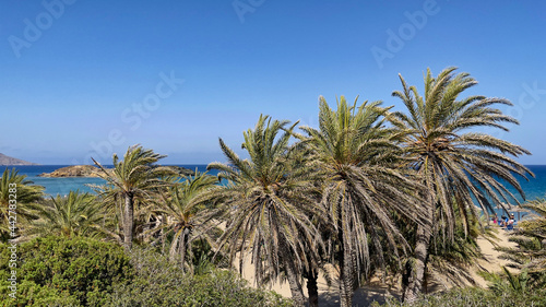 PLAŻA Z PALMAMI. PLAŻA VAI NA WYSPIE KRETA, GRECJA. 