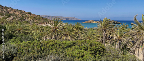 PLAŻA Z PALMAMI. PLAŻA VAI NA WYSPIE KRETA, GRECJA. 