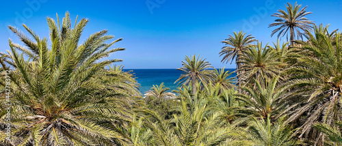 PLAŻA Z PALMAMI. PLAŻA VAI NA WYSPIE KRETA, GRECJA. 