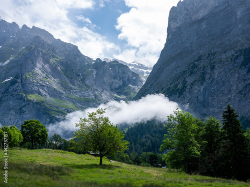 Jungrfrauregion mit Eiger, Mönch und Jungfrau