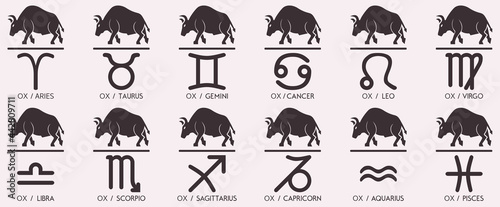 Vector year of the ox Animal icons eastern annual horoscope and zodiac signs in one symbol 2021 2033 2045 2057 years