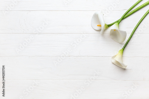 Beautiful calla lilies on light wooden background