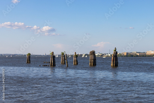 Wooden Poles In The Harbor Waters - Ford's Landing Park, Alexandria, VA