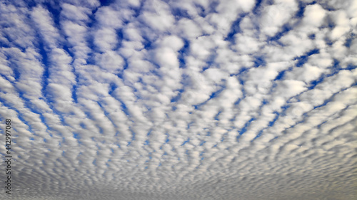 Sky Cloudscape with altocumulus clouds