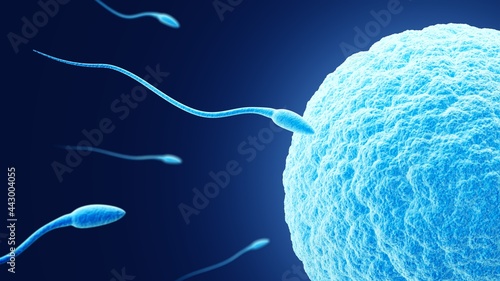 Fertilization. Egg and sperm. Dark blue background. Spermatozoon and ovum. 3d illustration.