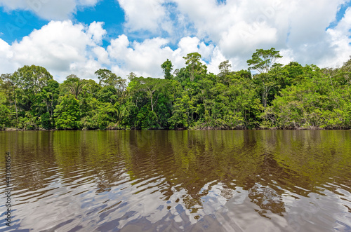 Amazon river rainforest reflection. The Amazon river basin comprise the countries of Brazil, Bolivia, Colombia, Ecuador, Guyana, Suriname, Peru and Venezuela.