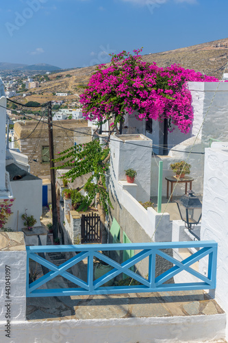 Street view of traditional houses and a colorful bougainvillea tree in Ermoupolis, Syros island, Greece
