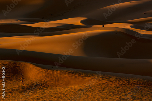 desert dunes, a journey to the Sahara