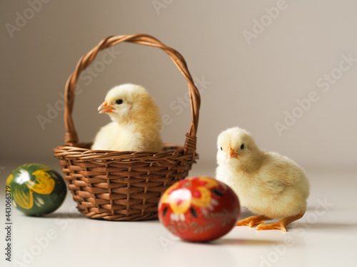 Dwa kurczaczki wielkanocne, koszyk i jajka 