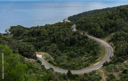 A winding asphalt road running through the forest right next to the sea, seen from above