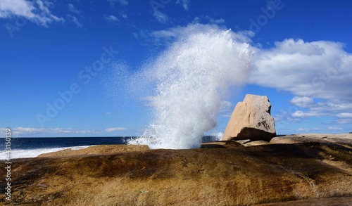 bicheno blowhole spouting next to the sea on a sunny day in bicheno, tasmania, australia 