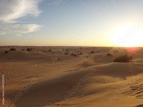desert sand dunes in the morning