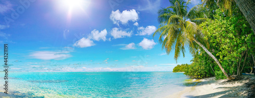 Beautiful natural tropical panoramic landscape with white sand, a palm tree bowed to the water and green vegetation. Turquoise ocean on background blue sky with clouds on sunny summer day.