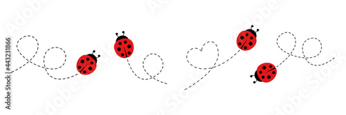 Cartoon ladybug icon set. Ladybugs flying on dotted route. Vector isolated on white background.