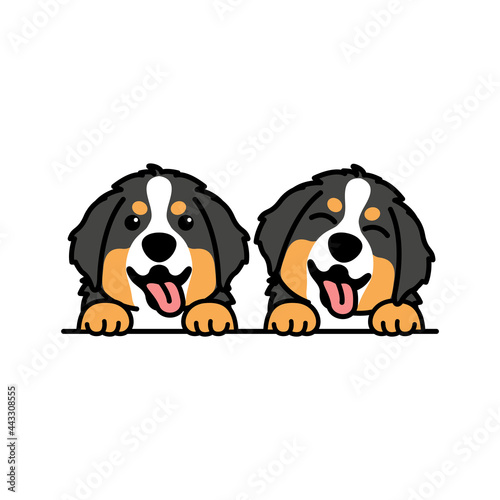 Cute bernese mountain puppy cartoon, vector illustration