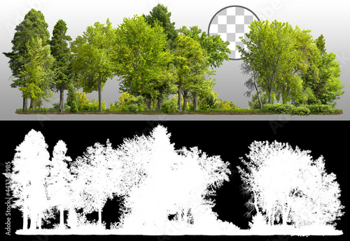 Cutout tree line. Row of green trees and shrubs in summer isolated on transparent background via an alpha channel. Forestscape. High quality clipping mask. Forest and green foliage.