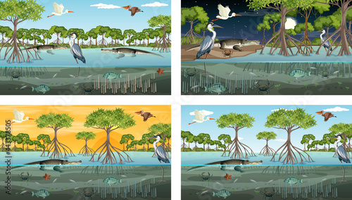 Different mangrove forest landscape scenes with various animals