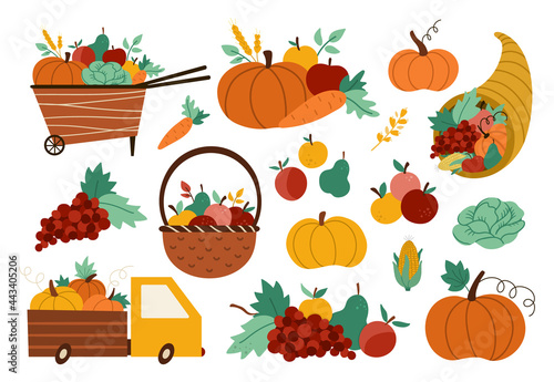 Autumn harvest set. Vector farm vegetables, fruit and berry collection with pumpkins, carrot, apple, cabbage, corn, pear, grapes. Funny fall illustration with basket, truck, wheelbarrow, cornucopia