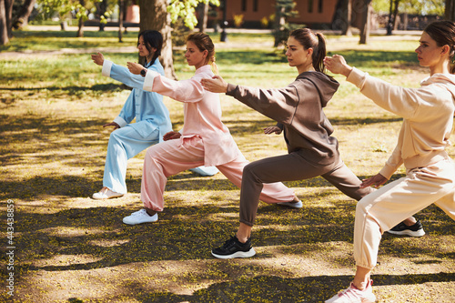 Attractive women working out outside doing tai chi