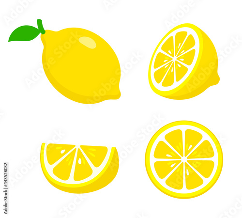 collection of Lemon, fresh fruit vector illustration
