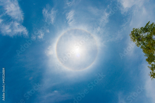 Sun Halo.