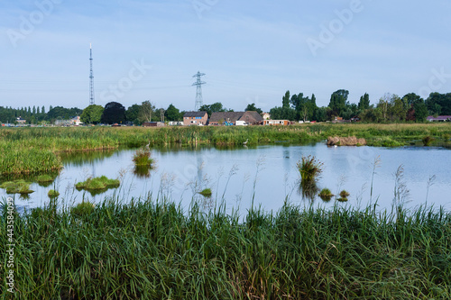 Landscape at Poelgeest polder