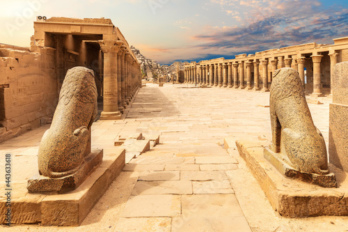 Lion Statues, Temple of Isis, Philae, Aswan, Egypt