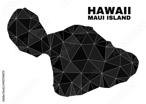Low-poly Maui Island map. Polygonal Maui Island map vector is filled with chaotic triangles. Triangulated Maui Island map polygonal abstraction for political templates.