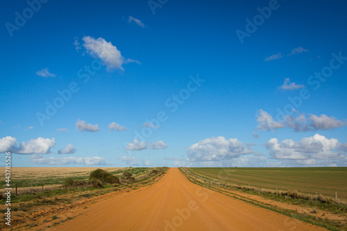 オーストラリア 西オーストラリア州にあるハット・リバー公国の広大な小麦畑と一本道