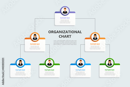 Corporate organizational chart with business avatar icons. Business hierarchy infographic elements. Vector illustration