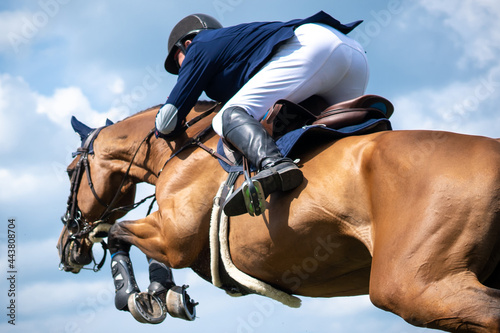 Equestrian Sports photo themed: Horse jumping, Show Jumping, Horse riding.