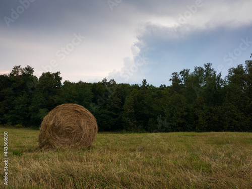 Rural landscape with rolls of hay, meadow and roll bales during overcast summer day