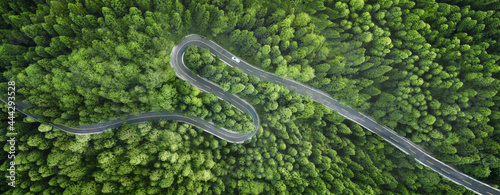 Aerial view of a road in the middle of the forest