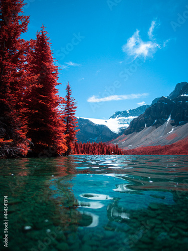 Otherworldly Red Forest Landscape of a lake in the mountains of Canada