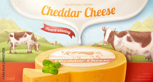 3d cheddar cheese banner ad