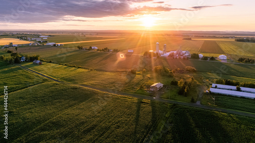 Farm sunset