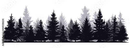 Pine trees silhouettes. Evergreen coniferous forest silhouette, nature spruce tree park view vector illustration. Coniferous woods silhouette