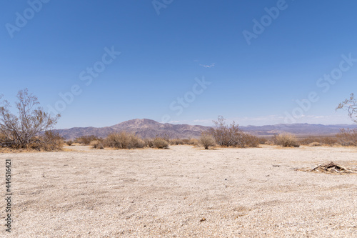 Sandy desert low angle photo of Joshua Tree National Park in the heat of day