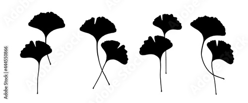 Leaf Collection. Tropical Leaves. Exotic Shape. Water lily. Set of Branches, Herbs and Flowers Flat. Black and White Plants. Vector Silhouette. Garden Leaves. Nenuphar Stem.