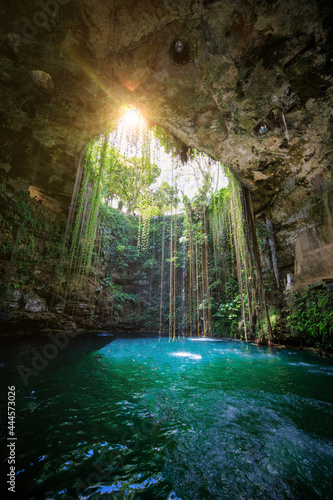 beautiful sunlight in a cenote of mexico