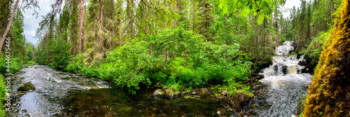 Picturesque view of the river and a cascade of waterfalls among the taiga, mixed forest. Picturesque panorama. Moss on a rock. National Park. Karelia. Northern Europe. Giant panorama.