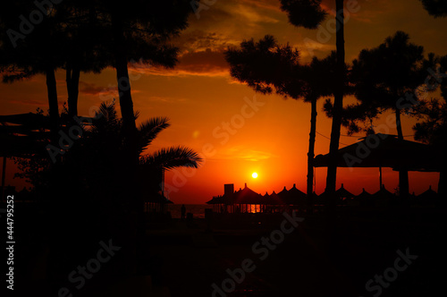 Zachód słońca pod palmami Durres Albania 